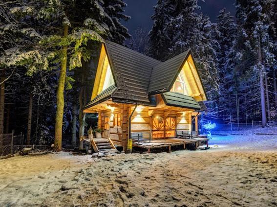 Chata Pod Nosalem - Domek Z Jacuzzi Z Bala W Zakopanym Zakopane Ngoại thất bức ảnh